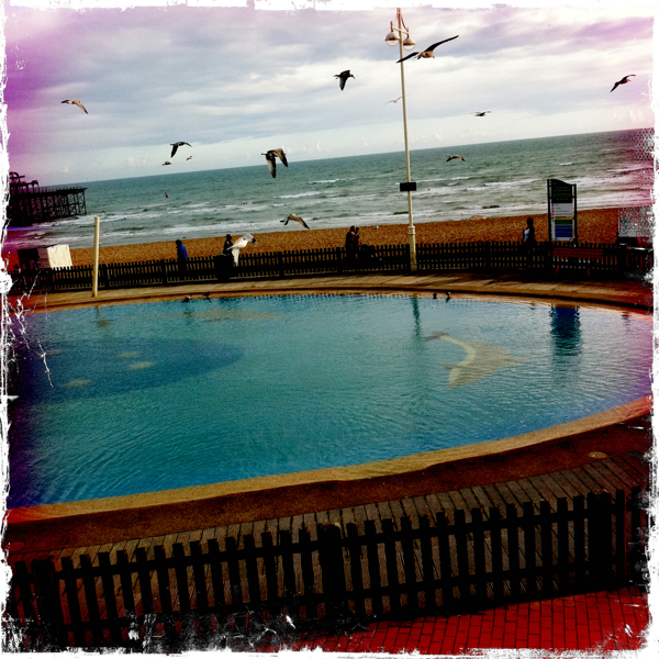 Hip 336242603.801707