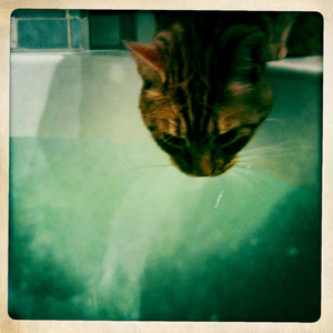 Hip 336174645.275046