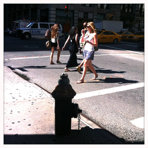 Hip 335733720.426149