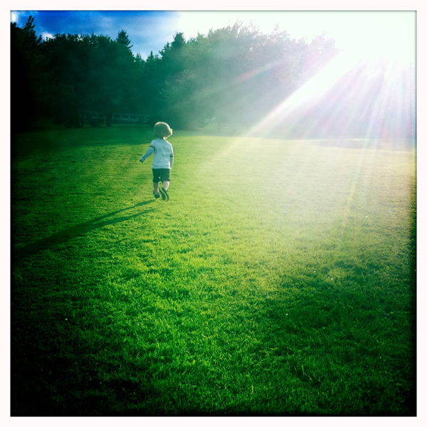 Hip 336002274.194147