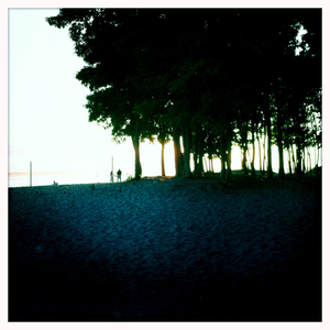 Hip 333515835.567610