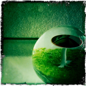 Hip 336252017.638652