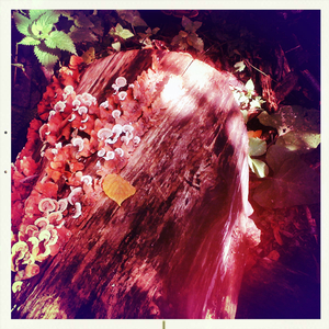 Hip 336225553.971772