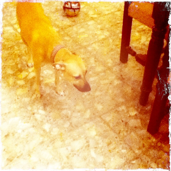 Hip 336255801.711537