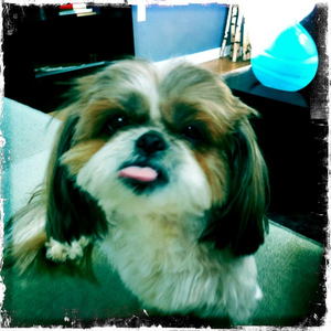 Hip 330217889.243678