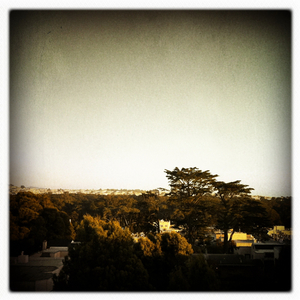 Hip 335068869.242746