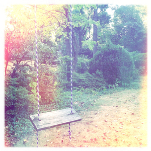 Hip 336262875.201163