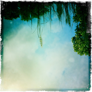 Hip 336262658.926097