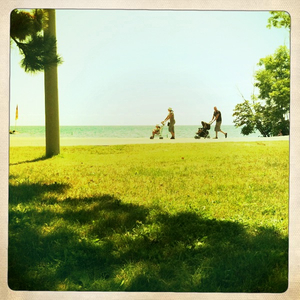 Hip 332356641.322078