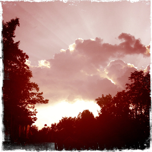 Hip 336263775.122611