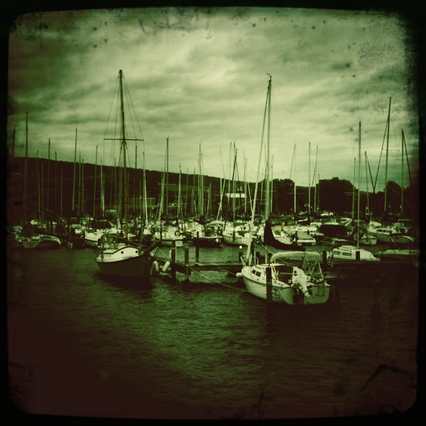 Hip 336259604.298227