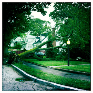 Hip 336264587.263698