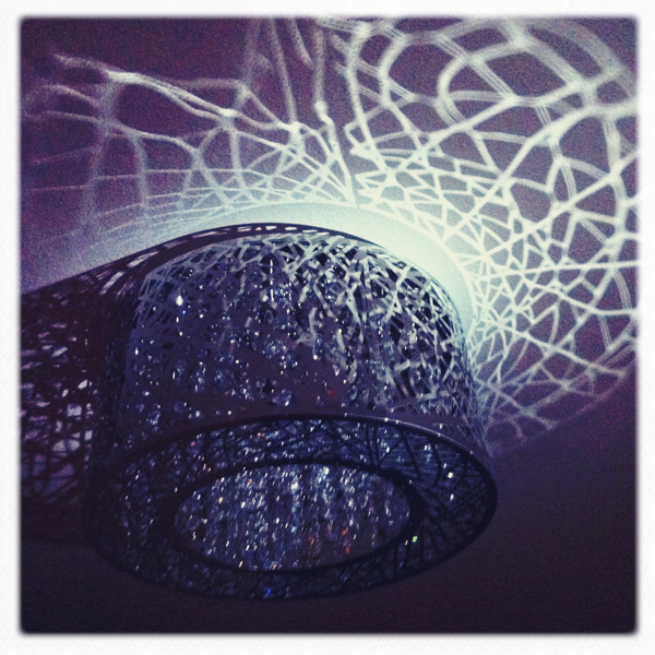 Hip 336267688.312295