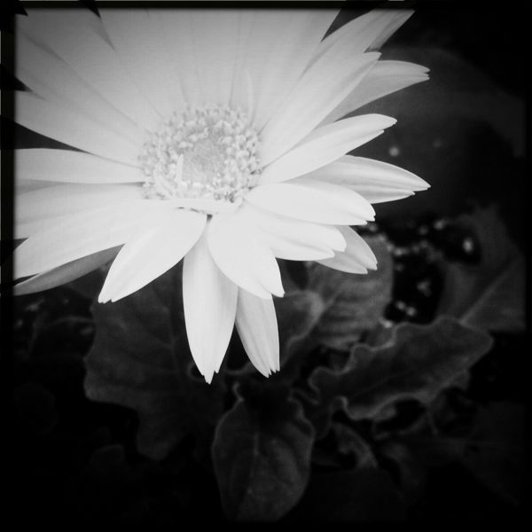 Hip 336259255.228056