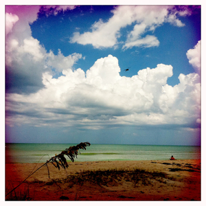 Hip 336250050.579912