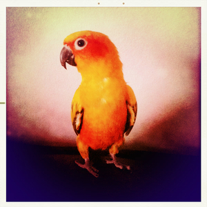 Hip 329713997.021626