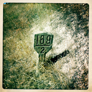 Hip 334423169.347032