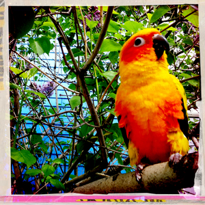 Hip 329246104.026064