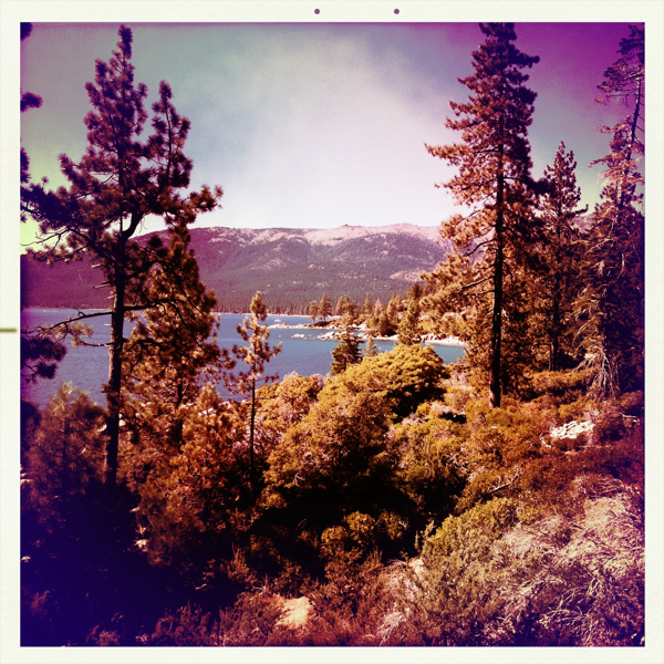 Hip 335312922.168353