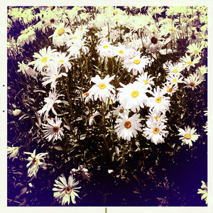 Hip 335132065.338658