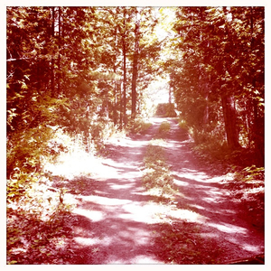 Hip 336251271.933223