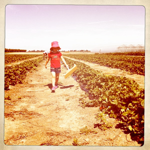 Hip 336165465.225609