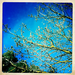 Hip 335754253.546771