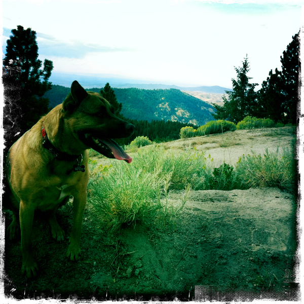 Hip 336265167.773075