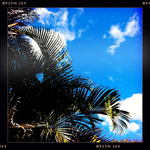 Hip 336203006.099916