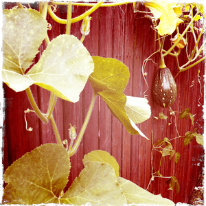 Hip 336241628.272025