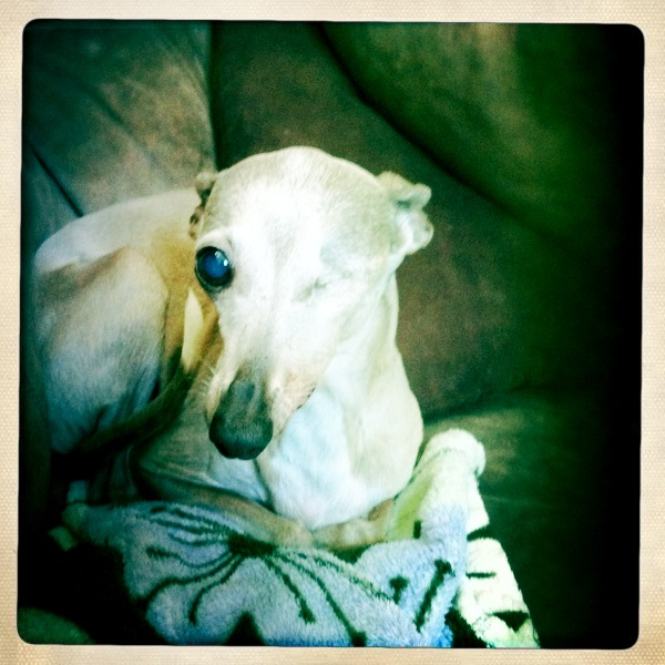 Hip 336250047.047673