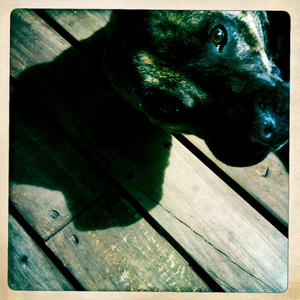 Hip 336275564.658250