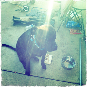 Hip 335458527.064269