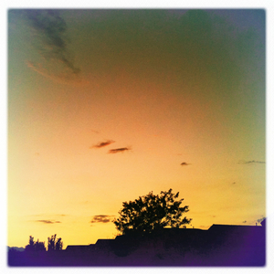 Hip 336277083.083005