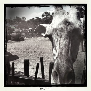 Hip 328478719.539953