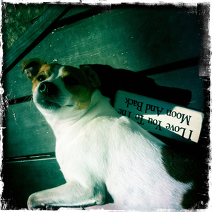 Hip 336241165.099948