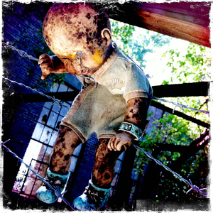 Hip 336234735.513777