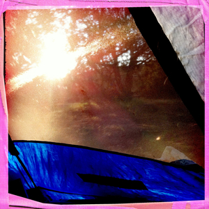 Hip 335019787.335880