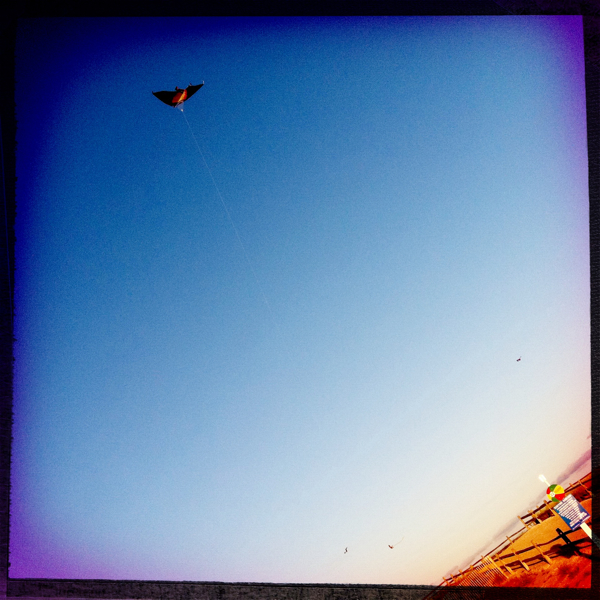 Hip 334193531.465511