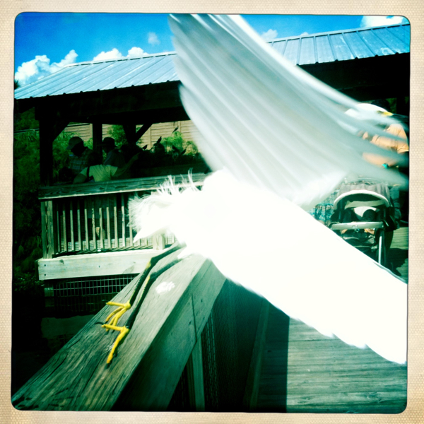 Hip 334250825.293938