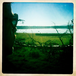 Hip 336069033.157465