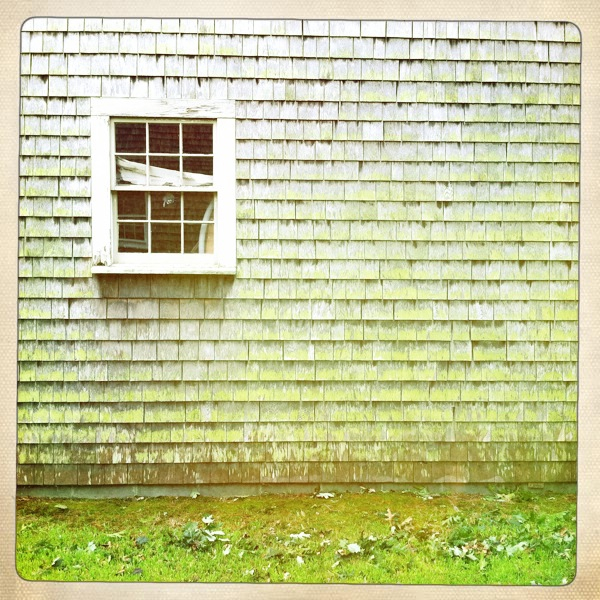 Hip 336250069.057862