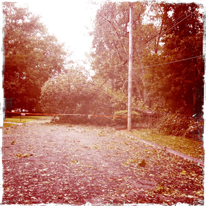 Hip 336255430.203007