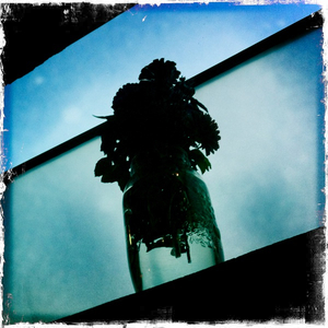 Hip 335582100.214618