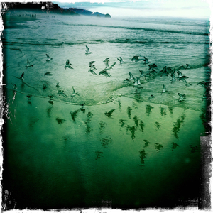 Hip 336258749.112011