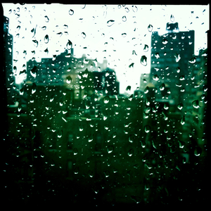 Hip 335025541.316840