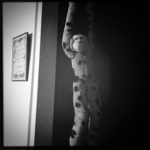 Hip 336291978.648967