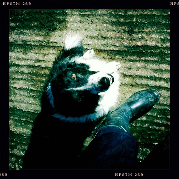 Hip 321704848.934690