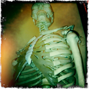 Hip 332250138.433701