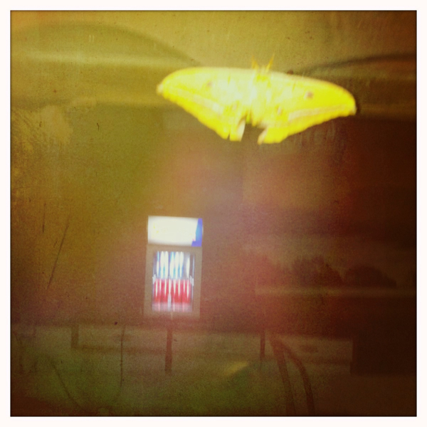 Hip 335821363.180985